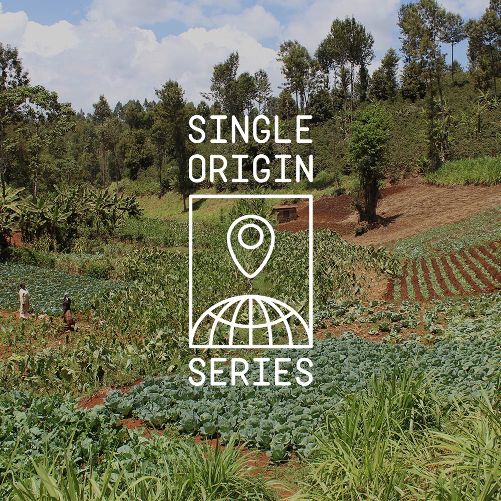 Agricultural landscape with 'Single Origin Series' logo overlay